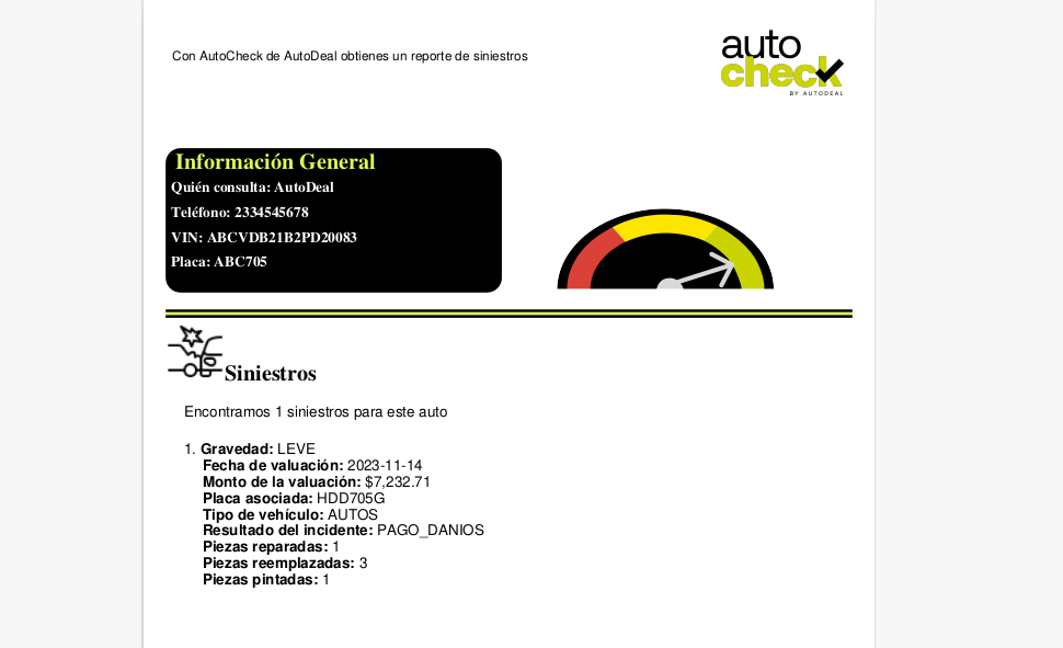 Autocheck report example